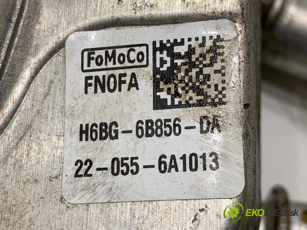 FORD TRANSIT CONNECT Nadwozie pełne/minivan 2022 74 kW 1.0 EcoBoost 998 Obal filtra oleja H6BG-6B856-DA (Obal olejového filtra)