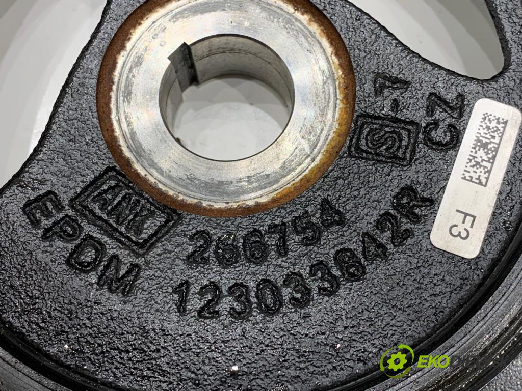 RENAULT CLIO V liftback 2024 74 kW 1.0 LPG (B7MT) 999 koleso kolesová hriadeľa 123033842R (Remenica)