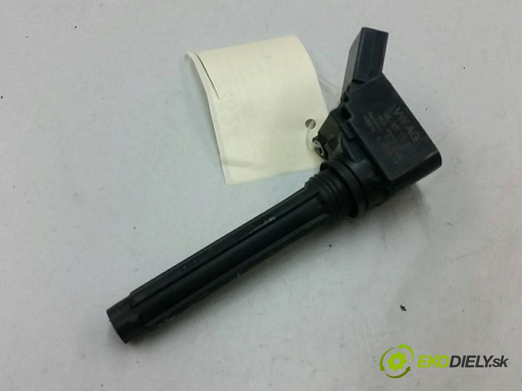 SKODA OCTAVIA III    TSI  Cievka zapaľovacia 06L905110D (Zapaľovacie cievky, moduly)