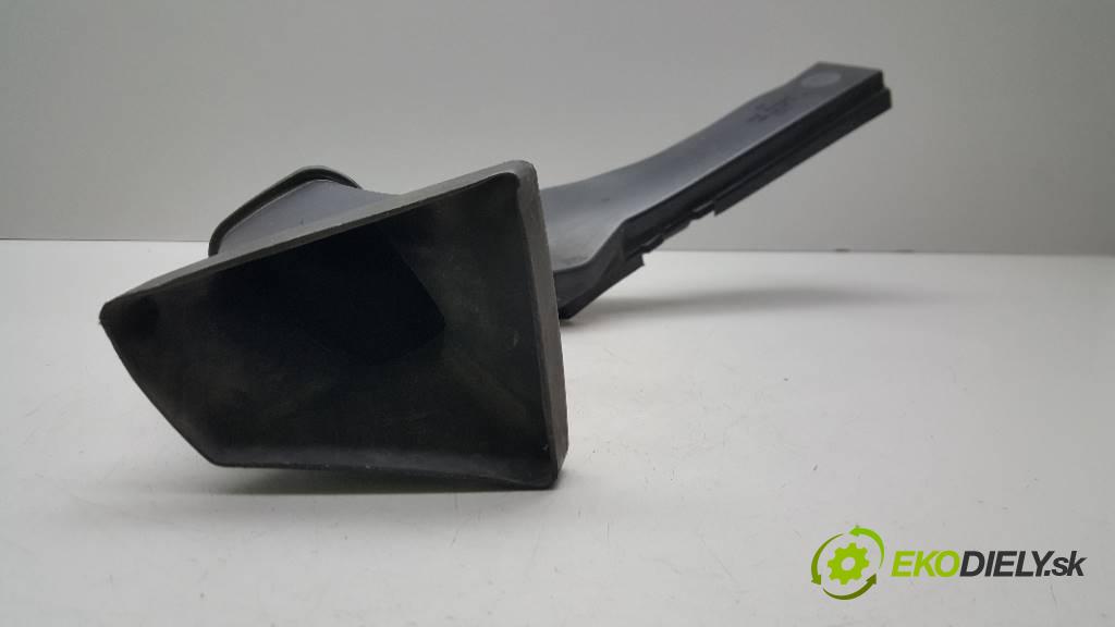 VOLKSWAGEN PHAETON 5.0 TDI 2003 313 kW 5.0 TDI 4921,00 Rúra hadice trubka vzduchu 3D0129617H     (Hadice chlazení vzduchu)