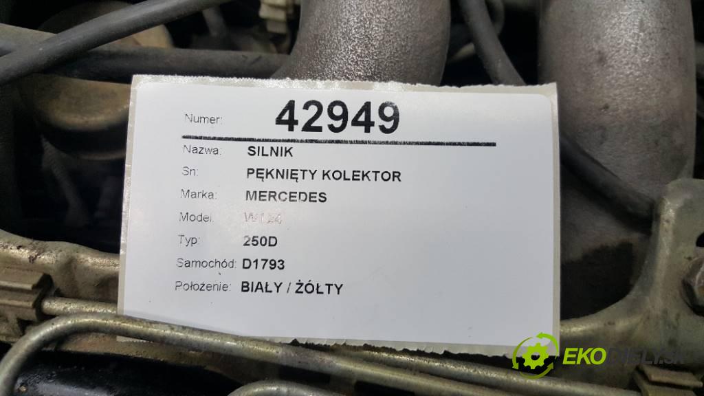 MERCEDES W124 250D 1990  250D 2497,00 Motor  (Motory (kompletné))