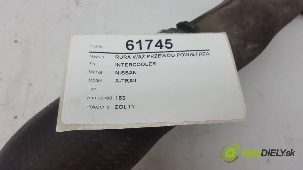 NISSAN X-TRAIL    2007 150 kW    1995 Rúra hadice trubka vzduchu INTERCOOLER (Hadice chlazení vzduchu)