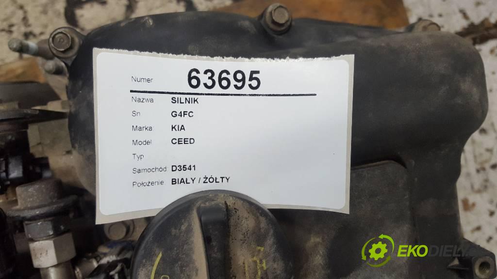 KIA CEED   2007 89,70kW             1591 motor G4FC (Motory (kompletní))