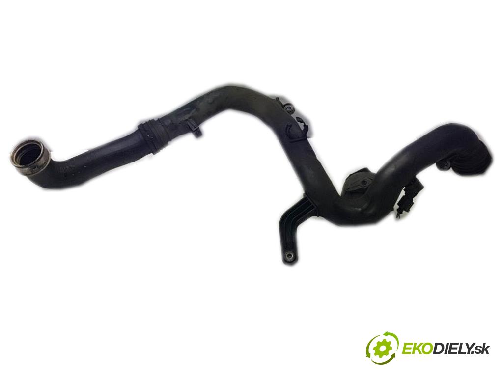 VOLKSWAGEN PASSAT B6 2006 77kW B6 1896 Rúra hadice turba  (Hadice intercoolera)