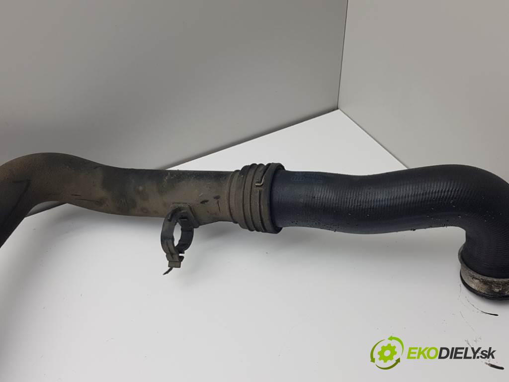 VOLKSWAGEN PASSAT B6 2006 77kW B6 1896 Rúra hadice turba  (Hadice intercoolera)