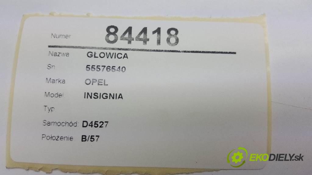 OPEL INSIGNIA   2011 118kw   1956 Hlava valcov 55576540 (Hlavy valcov)