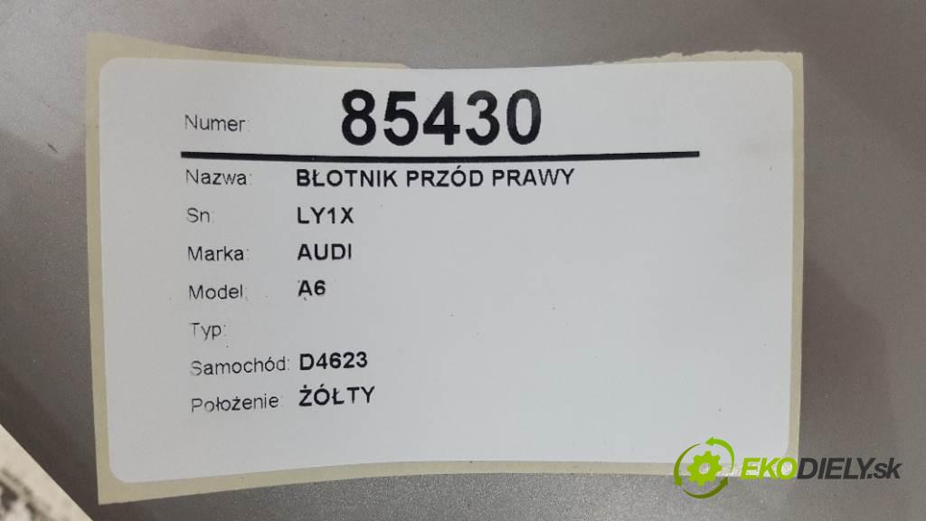 AUDI A6  2003 96kW    1900 blatník přední část pravý LY1X