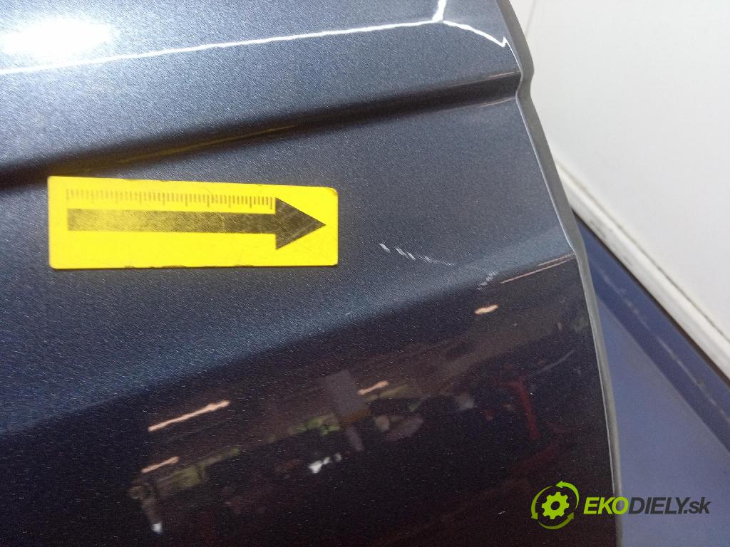 Renault Megane 2019 dveře před prave