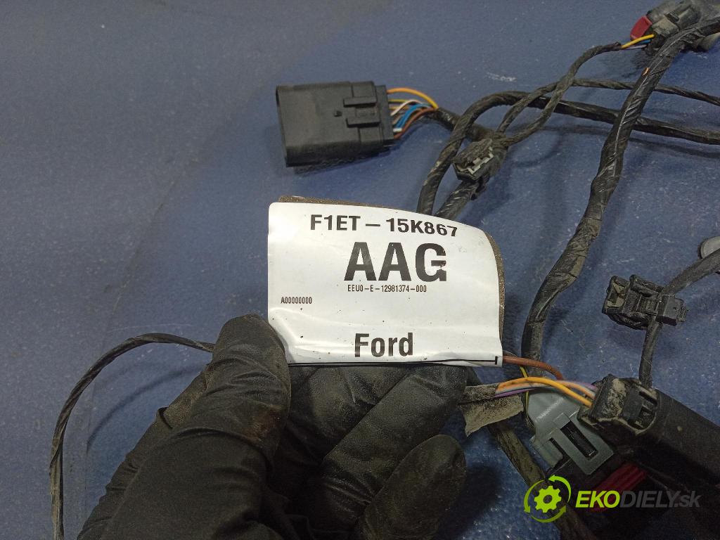 Ford Focus 2016 inštalácia Elektrický: F1ET-15K867-AAG