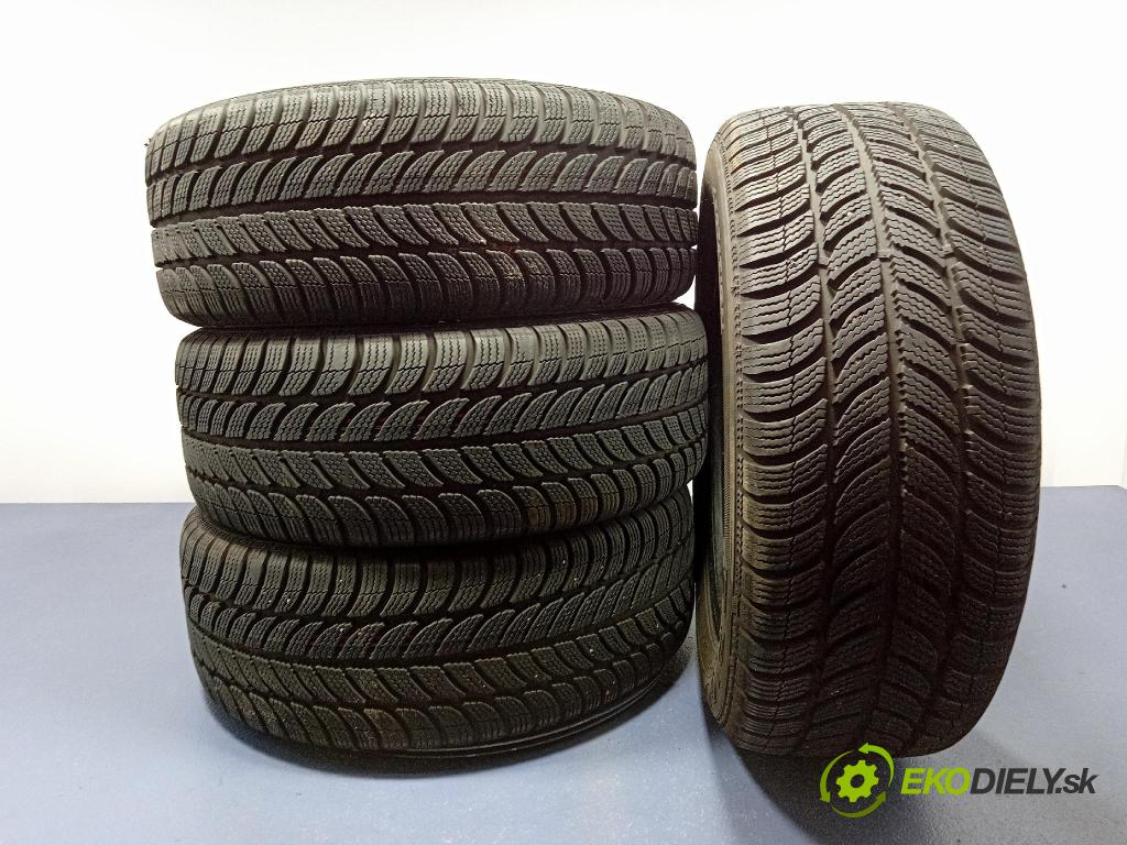 Fiat Bravo 2009 pneumatiky: Zima 5452000593900