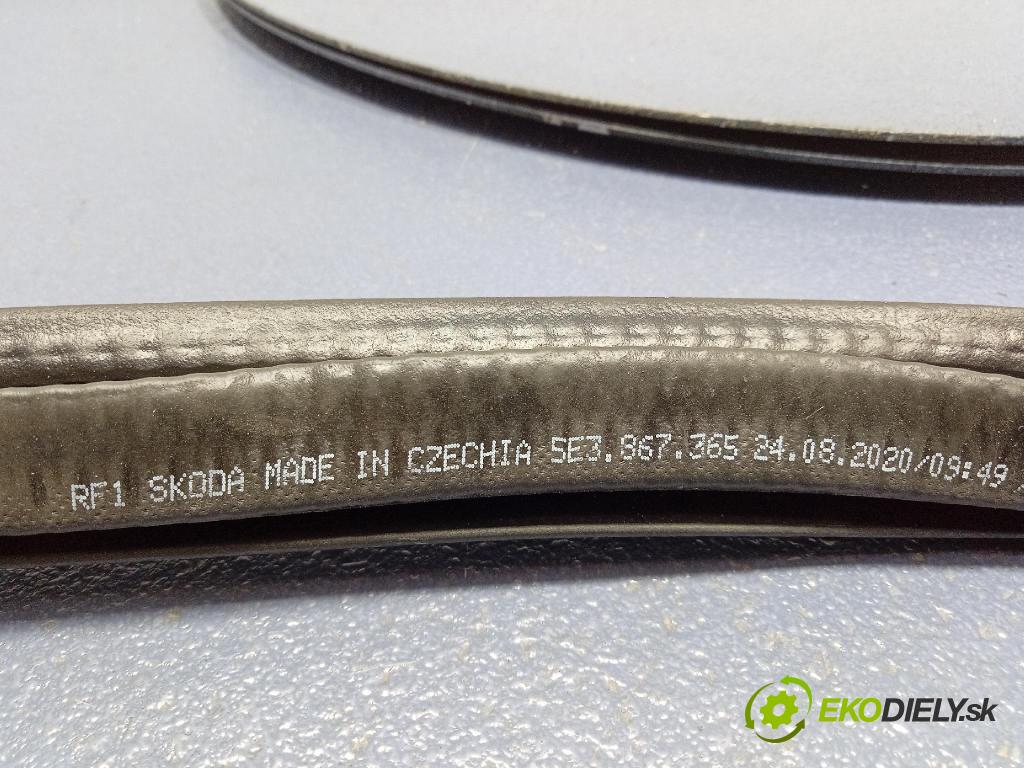 Skoda Octavia 2020 Těsnění: dvere 5E3867365
