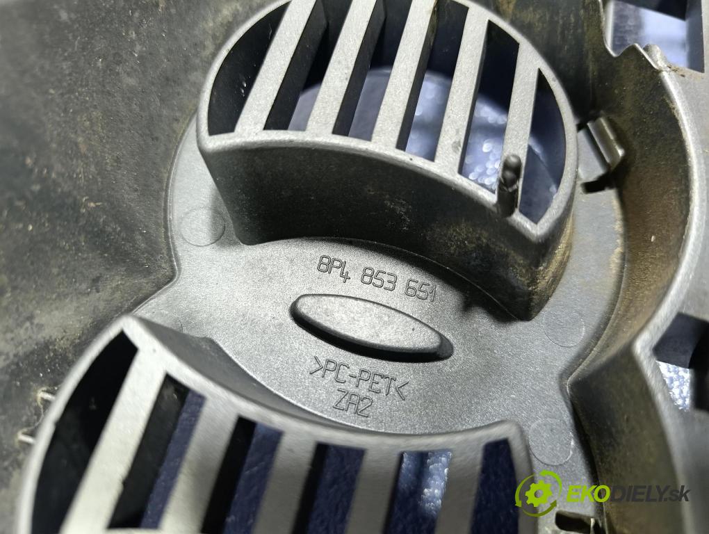 Audi A3 2006 miežka / Gril: 8P4853651