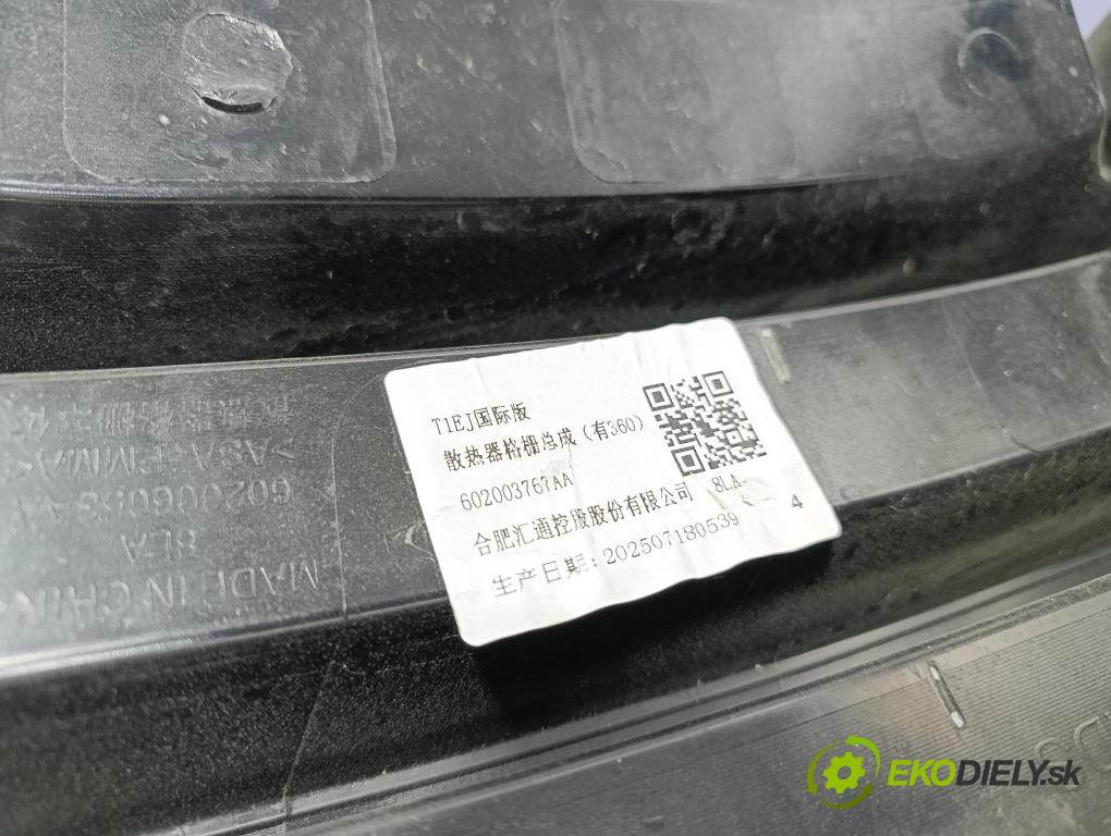 Chery Jaecoo 7 j7 0 miežka / Gril: 602003767AA