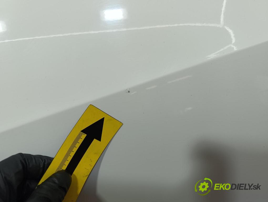 Seat Ibiza 2009 dveře před prave