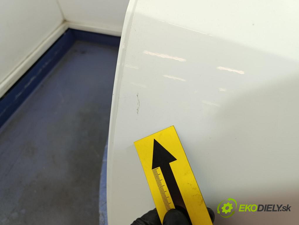 Seat Ibiza 2009 dveře Zad: Vlevo, odjet: