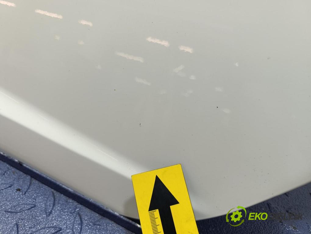Seat Ibiza 2009 dveře Zad: Vlevo, odjet: