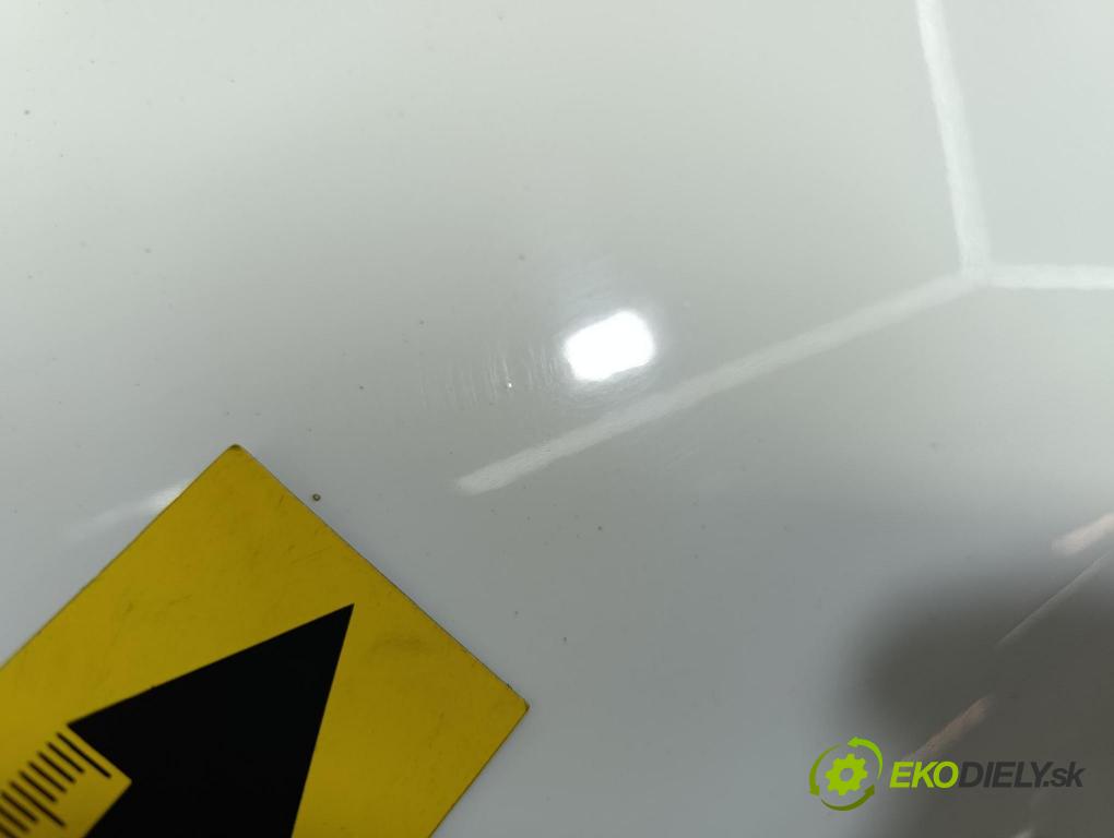 Seat Ibiza 2009 dveře Zad: Vlevo, odjet: