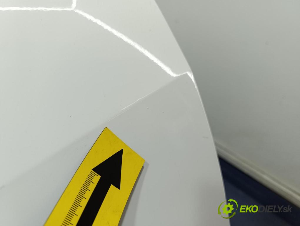 Seat Ibiza 2009 dveře Zad: prave