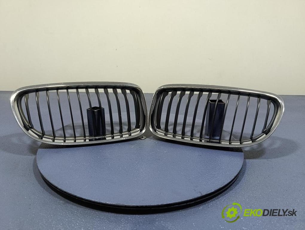 Bmw Seria 3 2011 miežka / Gril: 7201967 7201968