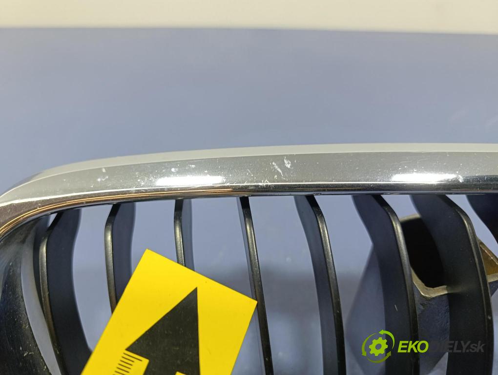 Bmw Seria 3 2011 miežka / Gril: 7201967 7201968