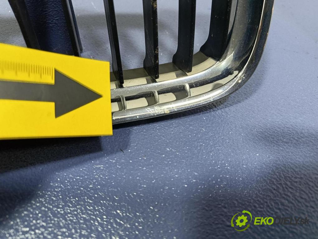 Bmw Seria 3 2011 mřížka / Gril: 7201967 7201968