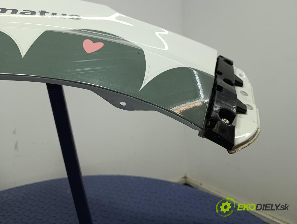 Byd Etp3 2022 blatník Predné v pravo: