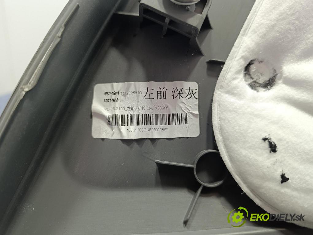 Byd Etp3 2022 Čalounictví: dvere Predné ľavá VB-6102111