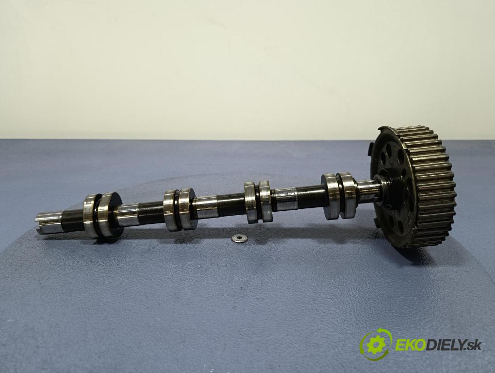 Audi A6 2008 Valček: Načasovanie: 03G109239C