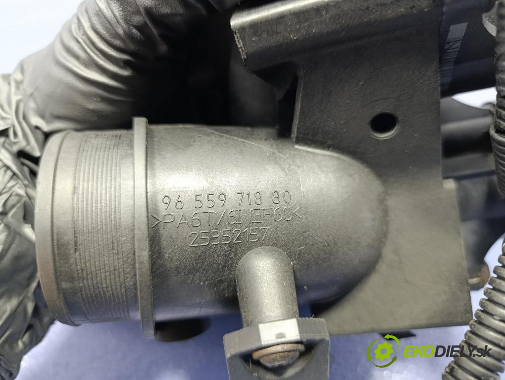 Ford C-max 2008 klapka 25352157