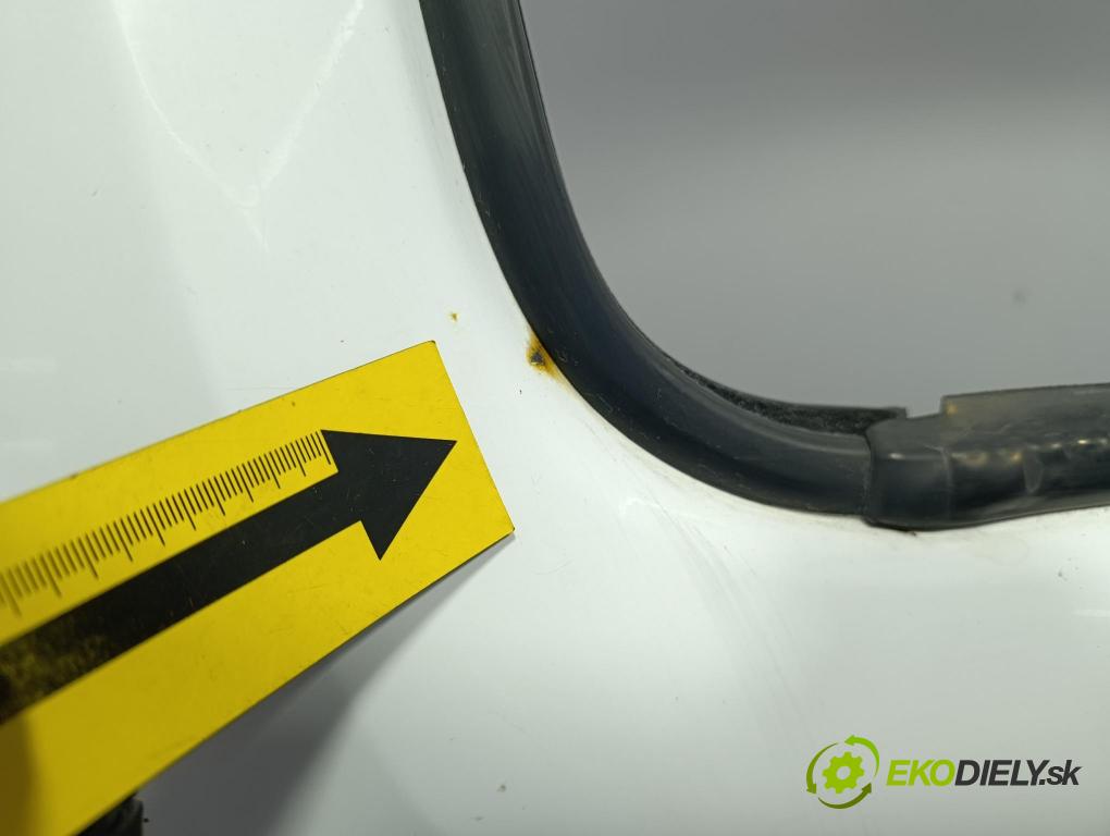 Renault Kangoo 2014 dveře před prave