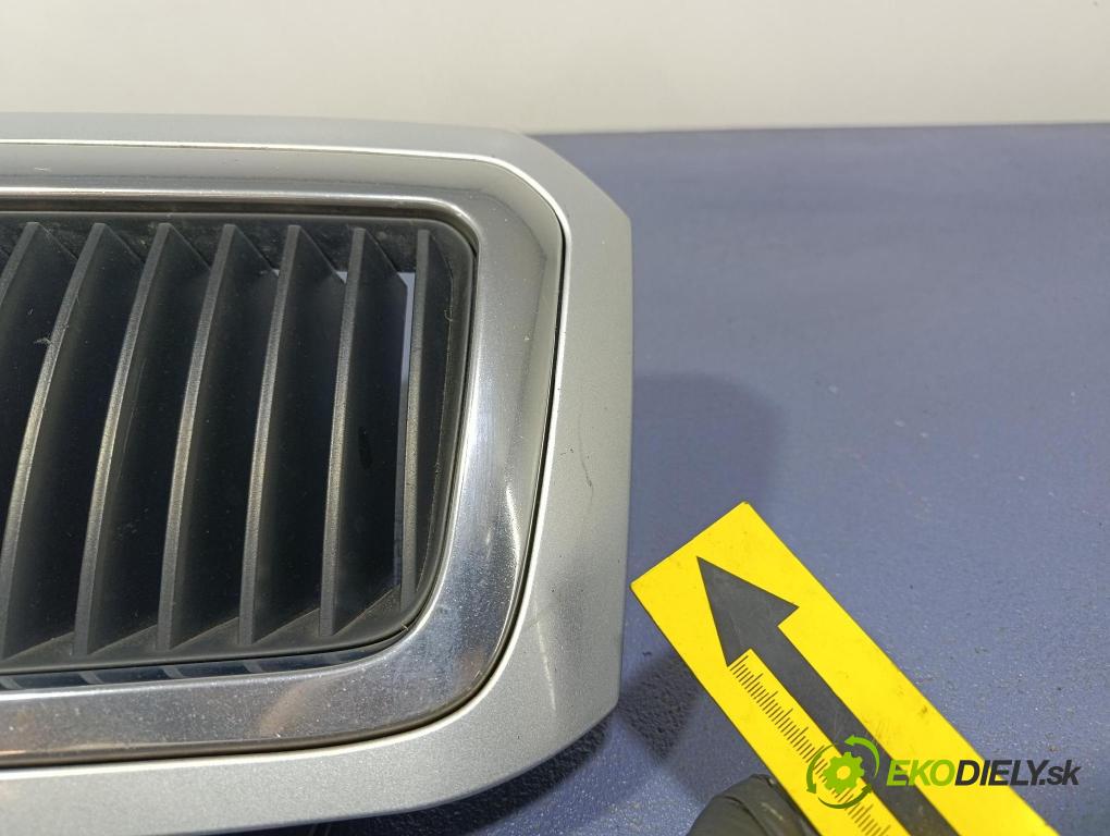 Skoda Octavia 2009 miežka / Gril: 1U0853651E