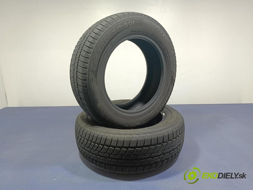 Peugeot 206 2001 pneumatiky: Zima 6970310409395
