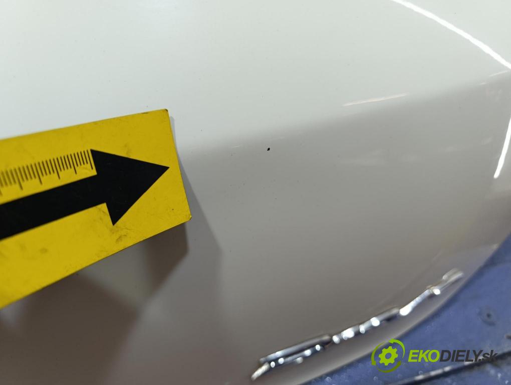 Fiat Bravo 2010 zadní dveře kufra: kufr