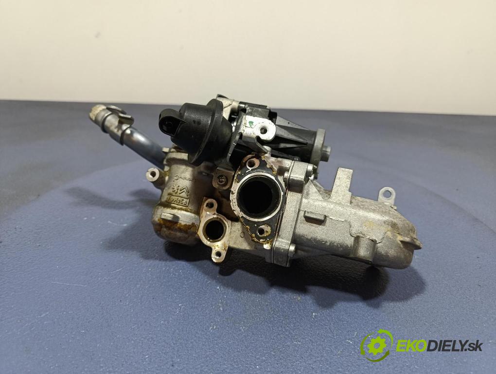 Citroen Ds4 2014 ventil EGR 9802194080