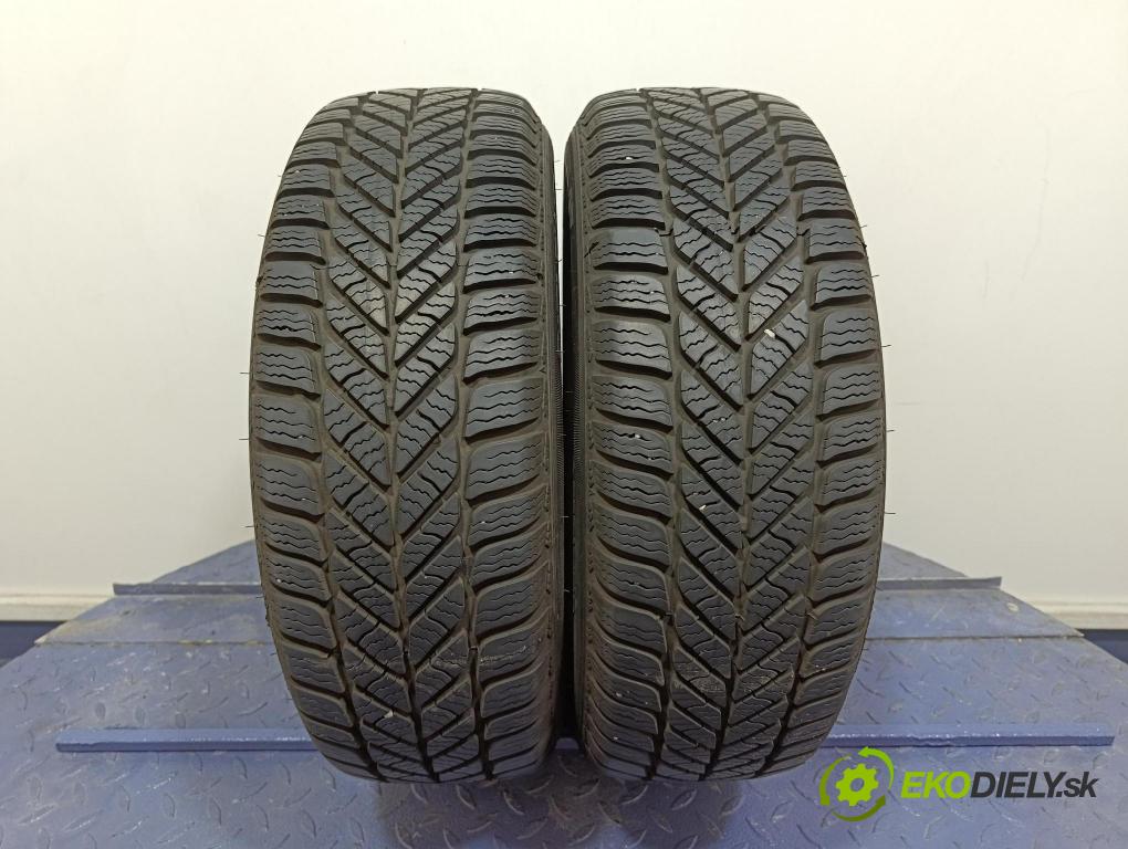 Kia Rio 2008 pneumatiky: Zima 4038526326027