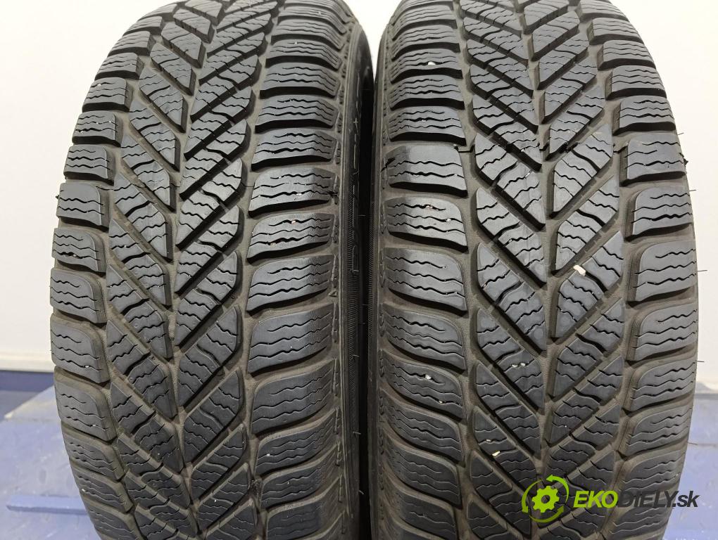 Kia Rio 2008 pneumatiky: Zima 4038526326027