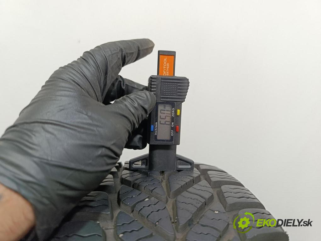 Kia Rio 2008 pneumatiky: Zima 4038526326027