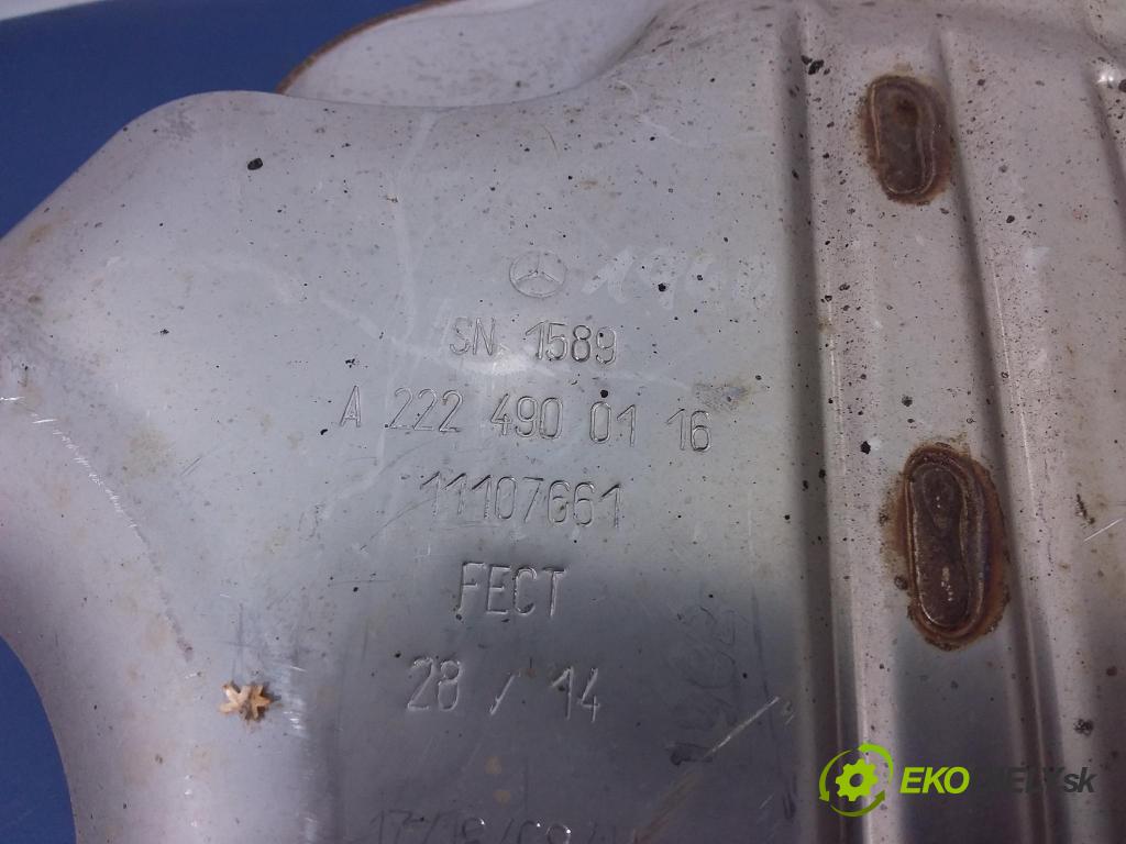 Mercedes S-Klasa 2014 Tlmič x A2224900416