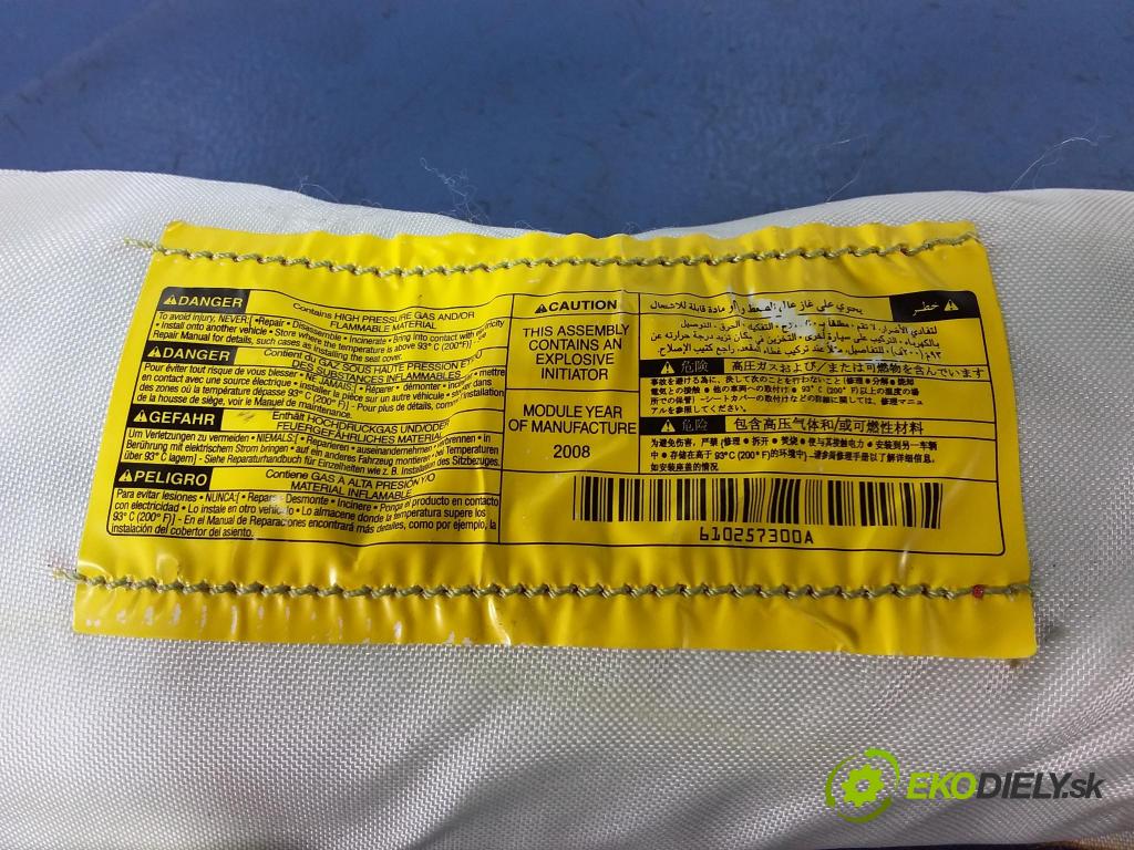 Lexus RX 2008 Airbag: Sedadlo: x 