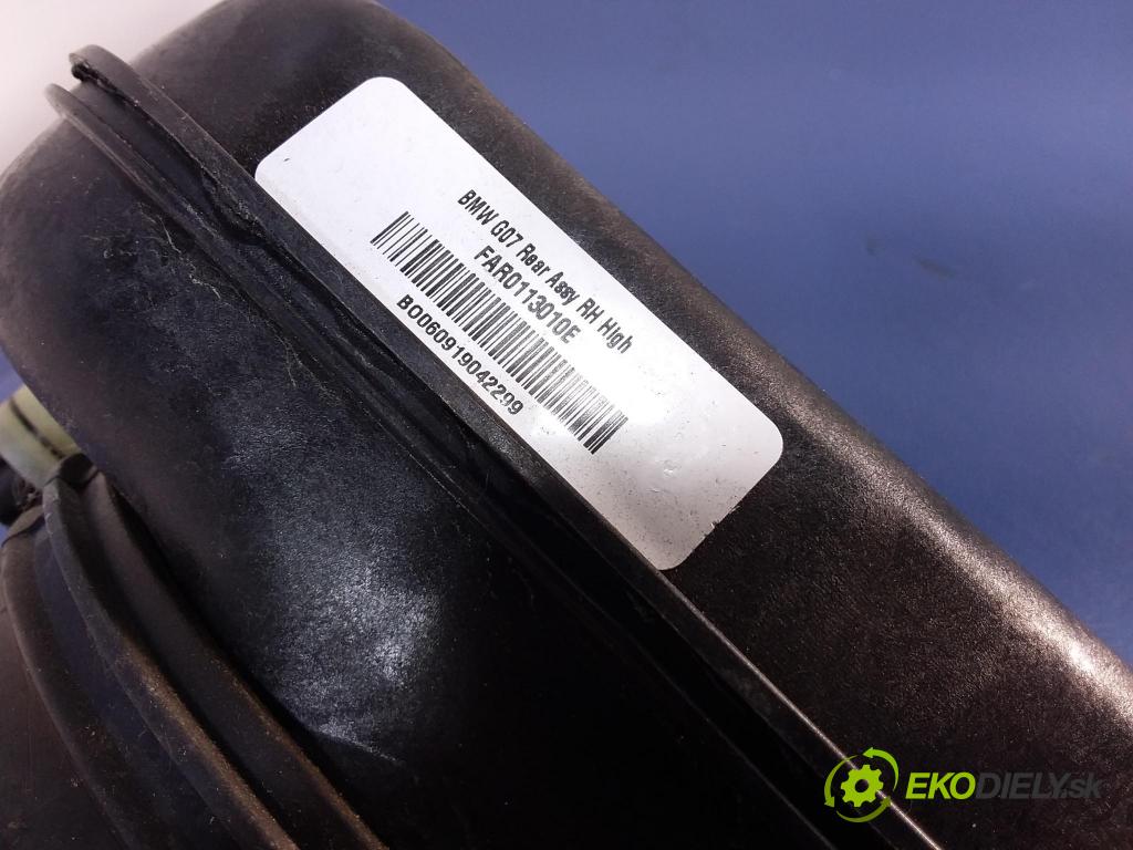 Bmw X7 2019 tlmič zad v pravo: 6869040