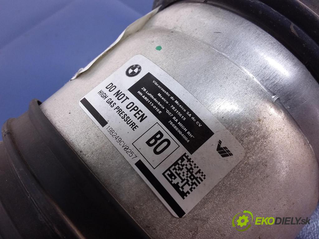Bmw X7 2019 tlmič zad v pravo: 6869040