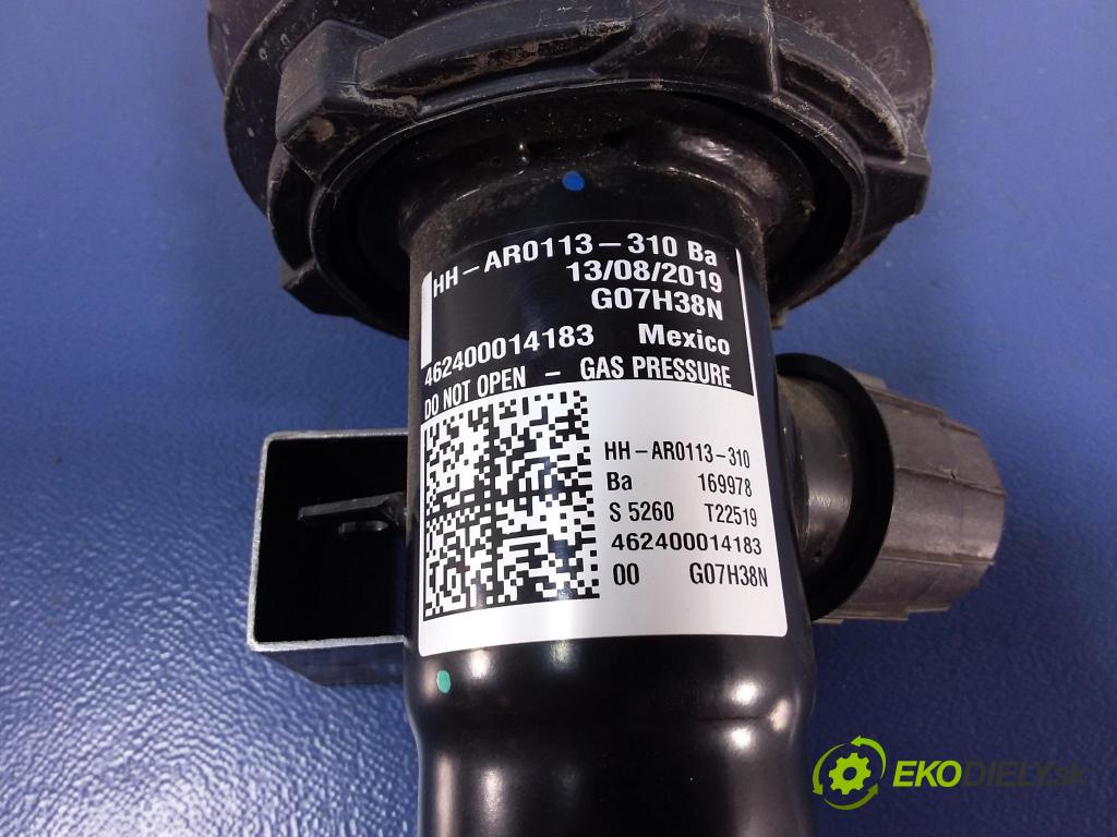 Bmw X7 2019 tlmič zad v pravo: 6869040
