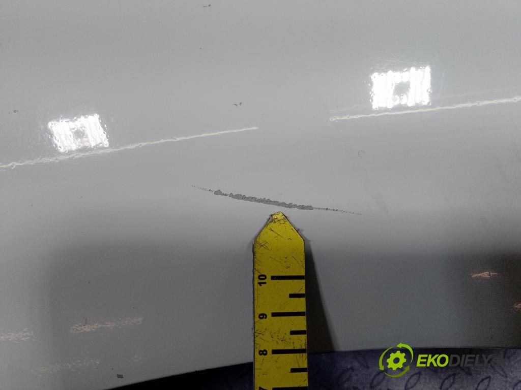 Renault Kangoo 2010 Blatník Přední v pravo: 01