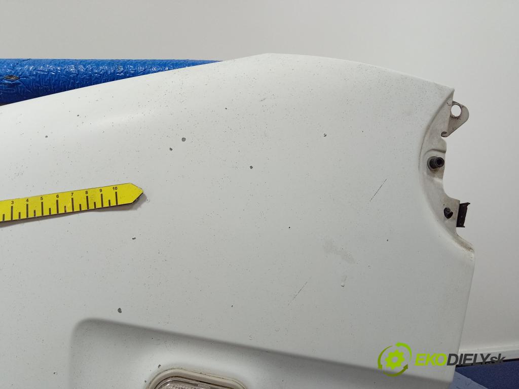 Renault Master 2005 Blatník Přední Levý: 01