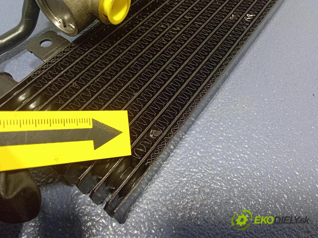 Mercedes CL-Klasa 2008 chladič oleja A2215002200