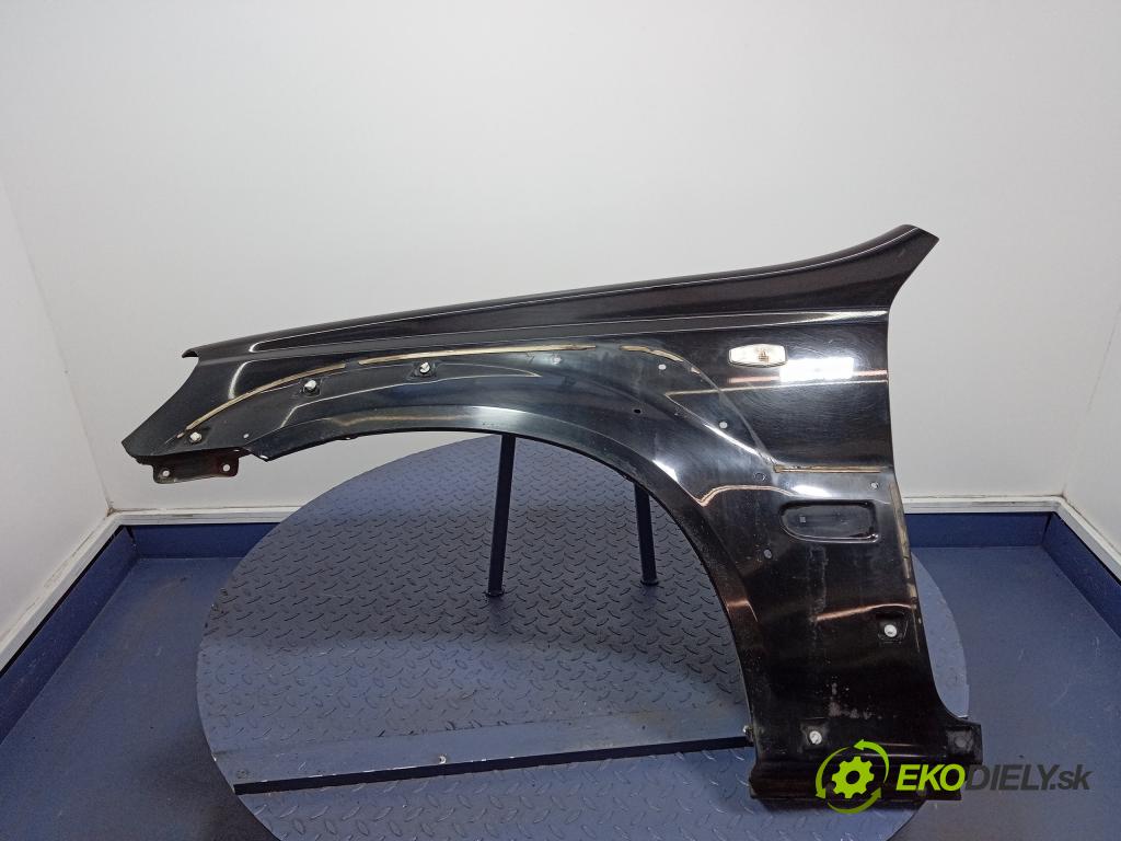 Hyundai Terracan 2003 blatnik před Levý: 01