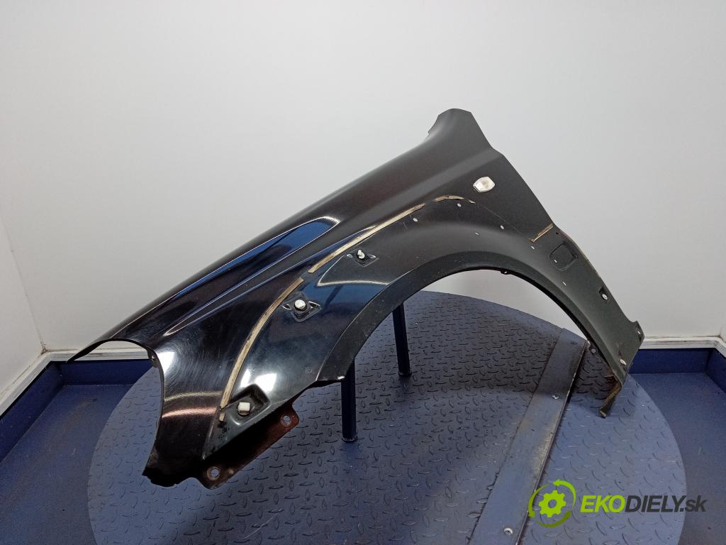 Hyundai Terracan 2003 blatnik před Levý: 01