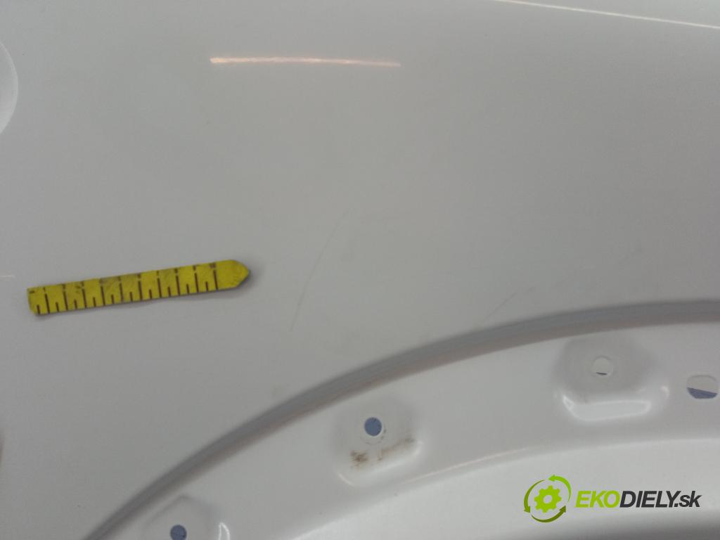 Ford Transit connect 2009 blatnik před v pravo: 01