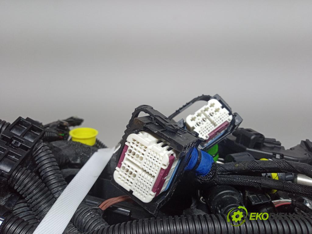 Bmw X5 2022 motor Benzín: B58B30C