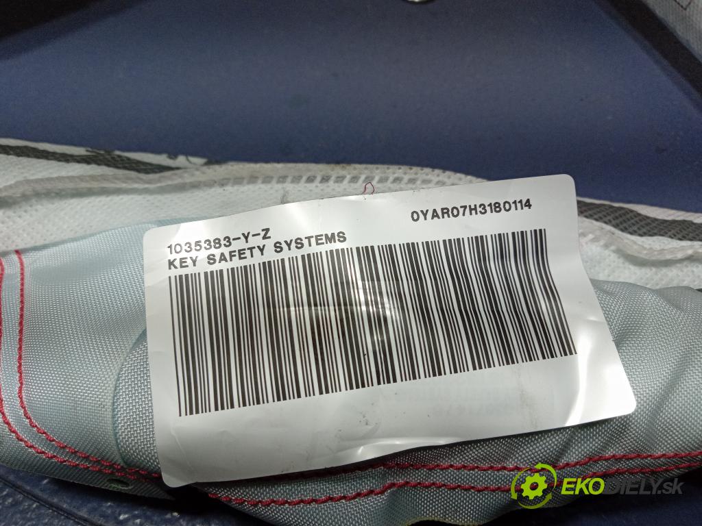 Skoda Fabia 2017 Airbag: clona x 6V0880742B